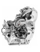 Caja de cambios ZF 4HP20 Renault, PSA, Daewoo