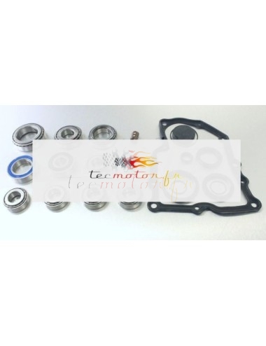 Kit de réparation pour boîte DSG 7 groupe boite de vitesses Audi, VW, Skoda 0AM DQ200 Kit de réparation pour boîte DSG 7 groupe boite de vitesses Audi, VW, Skoda 0AM DQ200