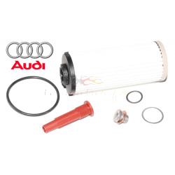 DQ381 Cambio olio cambio DSG 7 marce Audi VW Castrol Dual